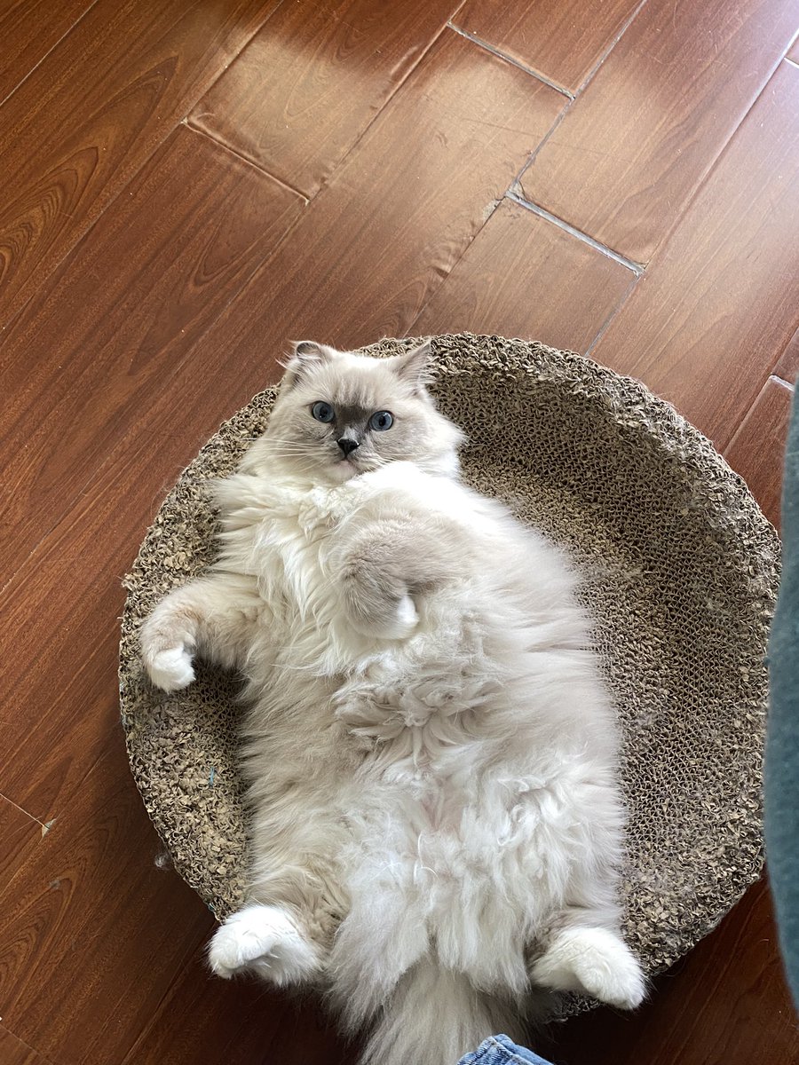 api_beer's tweet image. duangduang的，谁能想象她才8.9斤