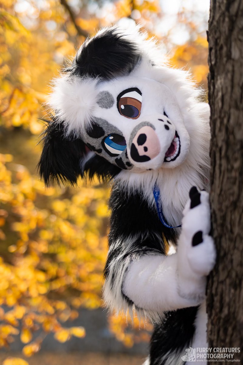 Bruce🍉🎾🔜Awoo, East tweet media