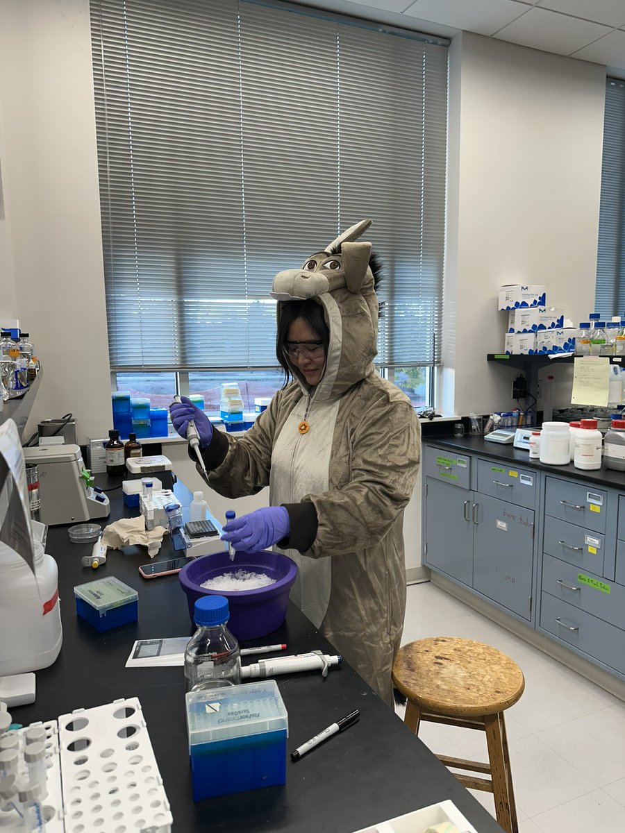 BHSUBiosensor's tweet image. Just our average day in the lab #Halloween #BHSU #Biosensor