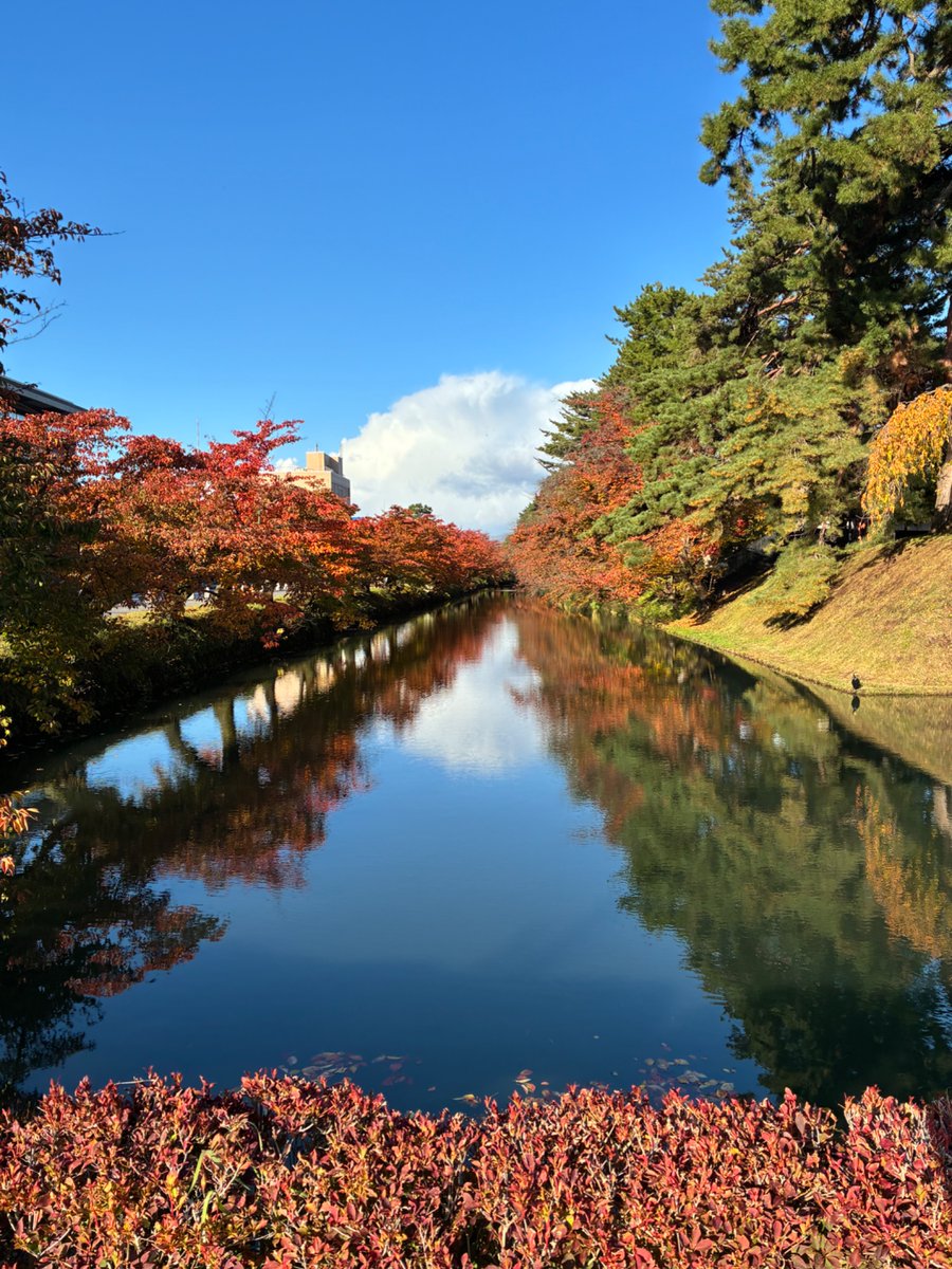 fukutan🌼 (@fukutan6) / Posts / X