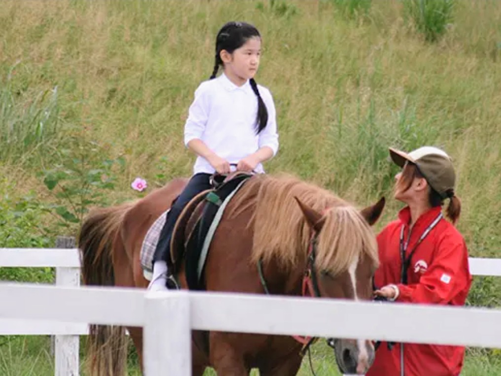 あいこ様 チーちゃん on X