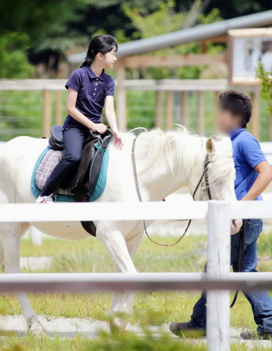 あいこ様 チーちゃん on X