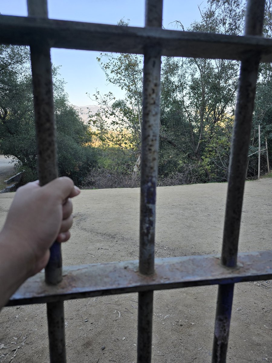 WizardCorgi's tweet image. I need help :(