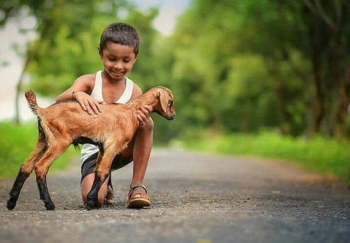 *दुसऱ्याकडे बोट* *करण्याअगोदर चांगला* *विचार करा की, चार बोटं* *आपलं कर्तृत्व सिद्ध* *करत असतात..* 
  🌹🌹 *शुभ सकाळ* 🌹🌹