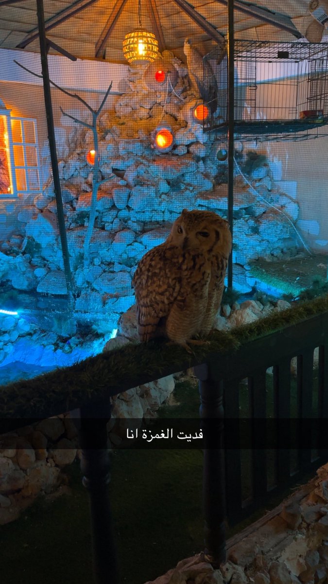 THEABRNO1's tweet photo. اكتشفت أماكن رهيبة مخفية بالشرقية، كانت تجربة غريبة لكن اكاد اجزم انه افضل مكان رحت له آخر فترة https://t.co/fbrs525k6w