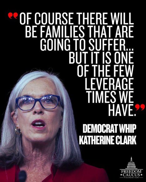 The_Real_Solyad's tweet photo. @malcolmkenyatta Schumer shutdown the government so no SNAP payments.

Dems hate you and they hate your families. https://t.co/LspcwLgJoI
