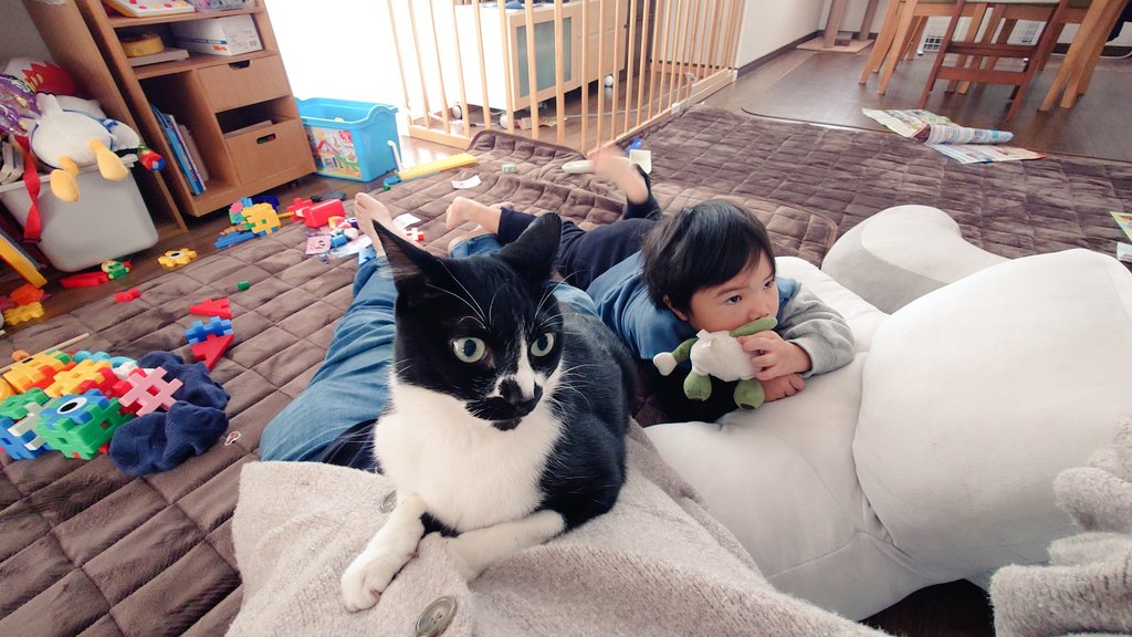 CIbPeFjePNtA1FP's tweet image. 朝からゴロゴロ兄弟🐱🧒

#ﾒｰﾒｰ成長記
#今日のあんこ