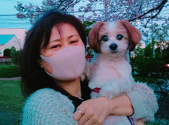 shinobuno's tweet photo. 9月末に愛犬一期（いちご）
が、旅立ちました。
17歳（推定）でした。
食事が取れなくなり、水が飲めなくなり、最後は、家族全員に看取られて旅立ちました。一期と関わってくださった皆様、保護の際にご尽力くださった皆様。ありがとうございました。 https://t.co/W6pfeMAGNR