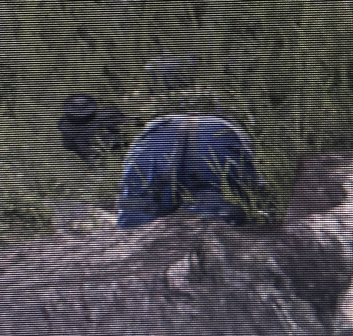 soapcuteness's tweet image. Rest in peace Johnny and Johnny’s ass

#soap #soapmactavish