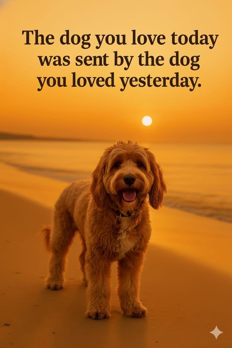 michael lundie tweet media