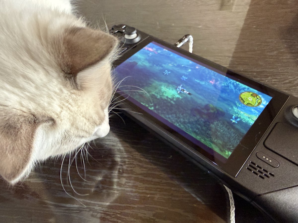 まーくんさん専用 まーくんさん専用 まーくんさん専用 まーくんさん専用 楽天市場】ZX