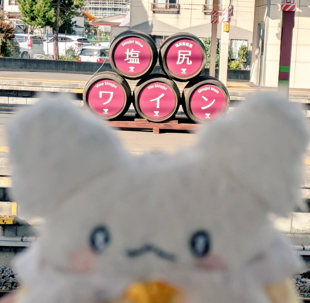 nao様 nao✨ (@usa1x1) / Posts / X