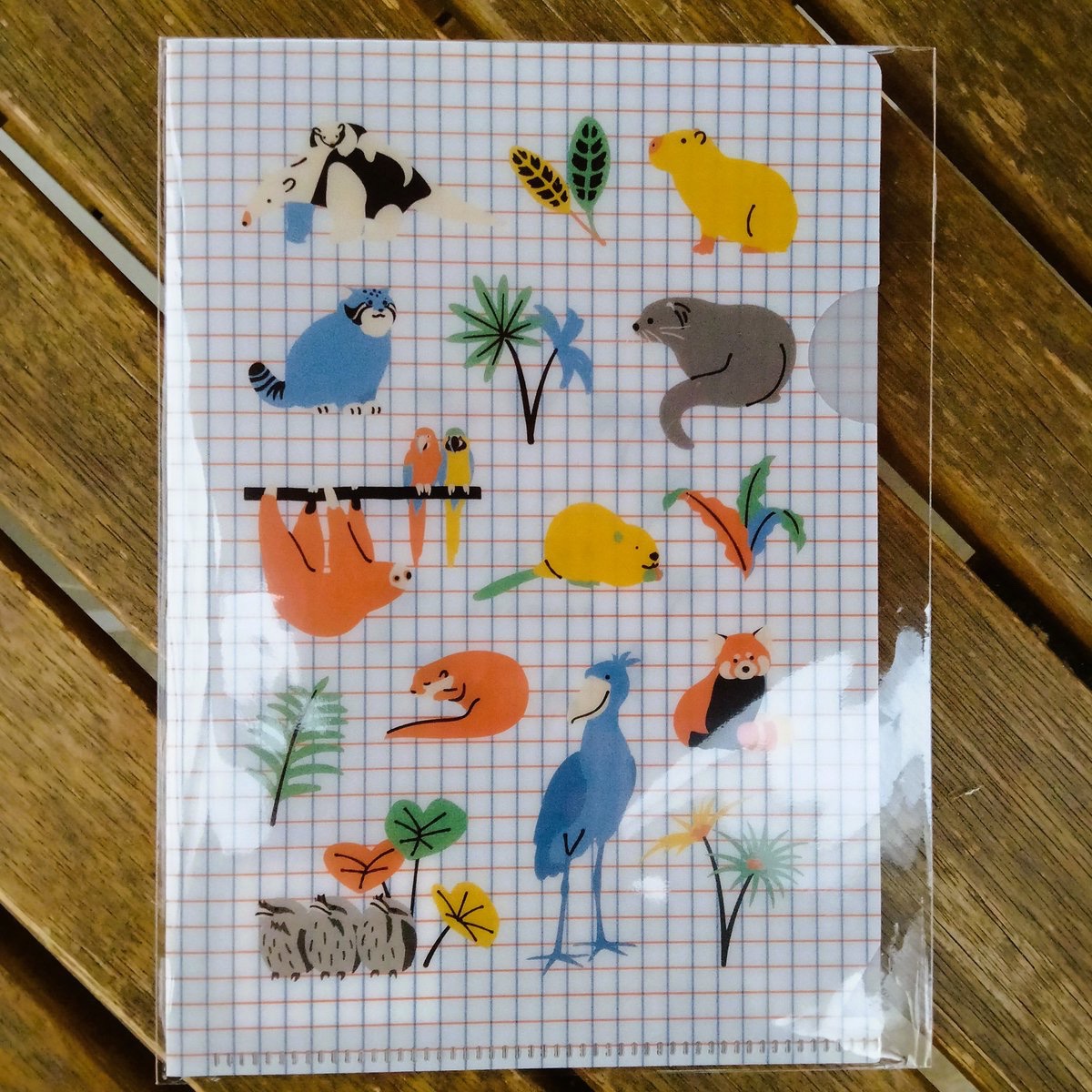 神戸どうぶつ王国 Gift Shop Capy&Berbara(カピィ＆バーバラ)【公式】 on X