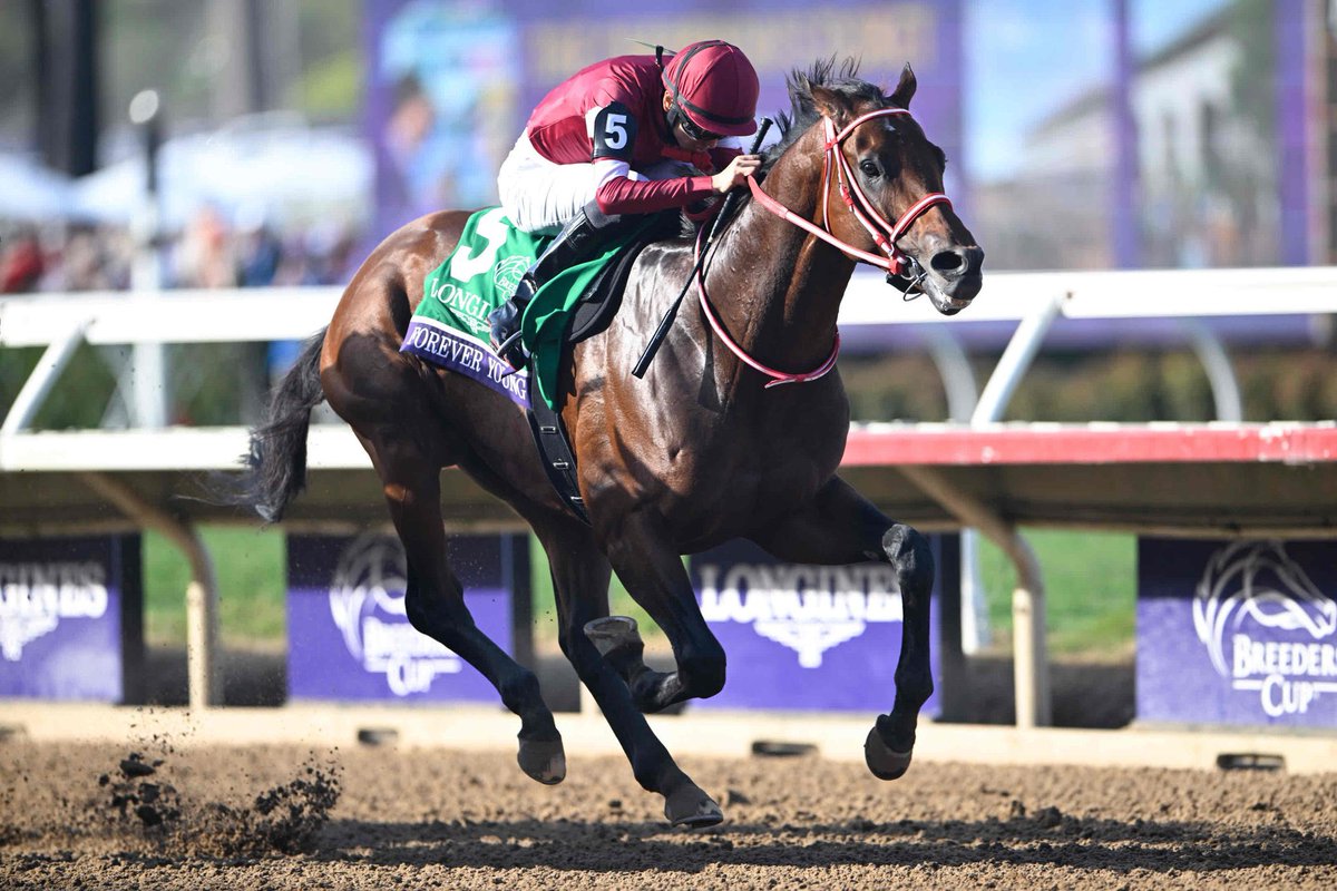 三奇人 みかん星人 on X