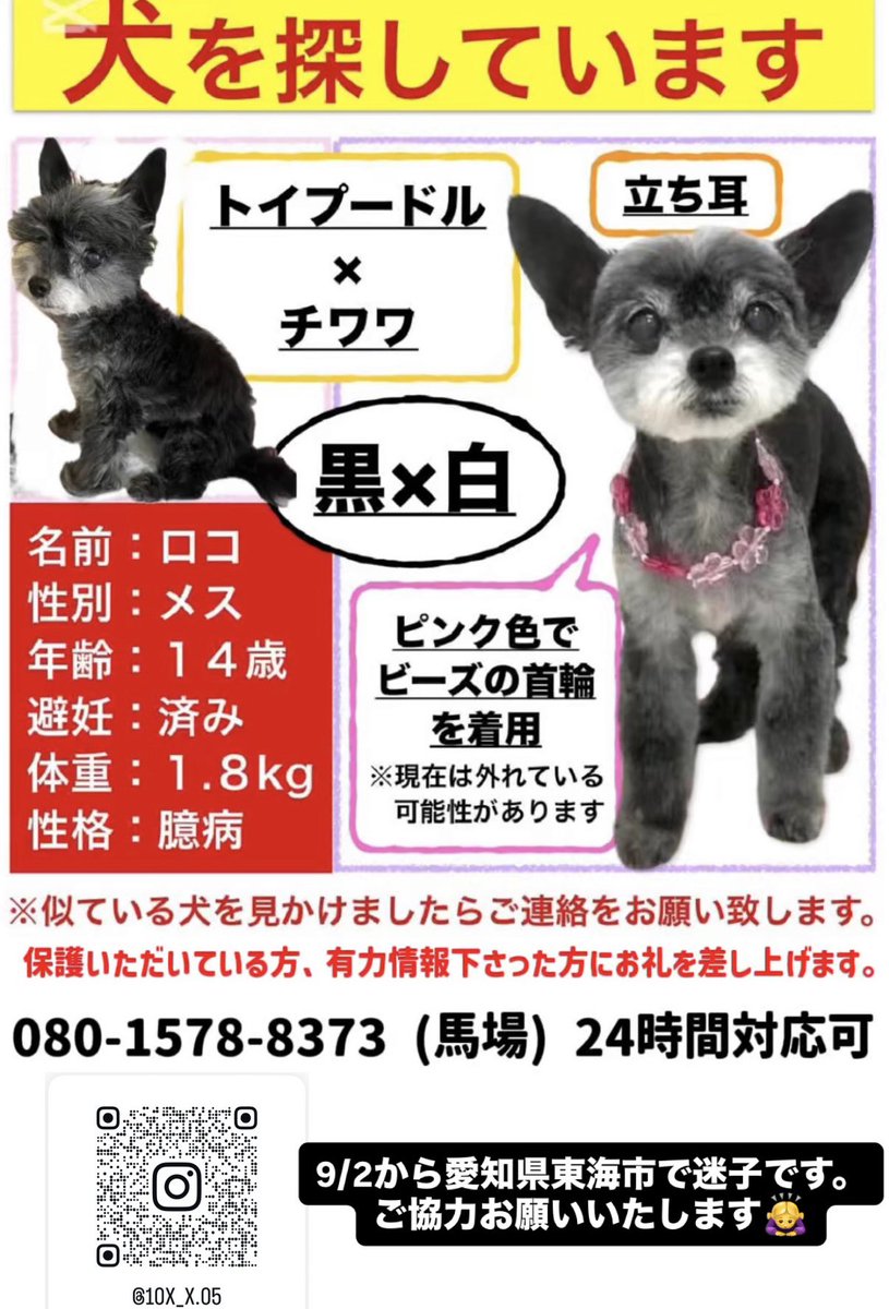 nene🥕🙏🇺🇦🇹🇼 (@nene_7k) / Posts / X