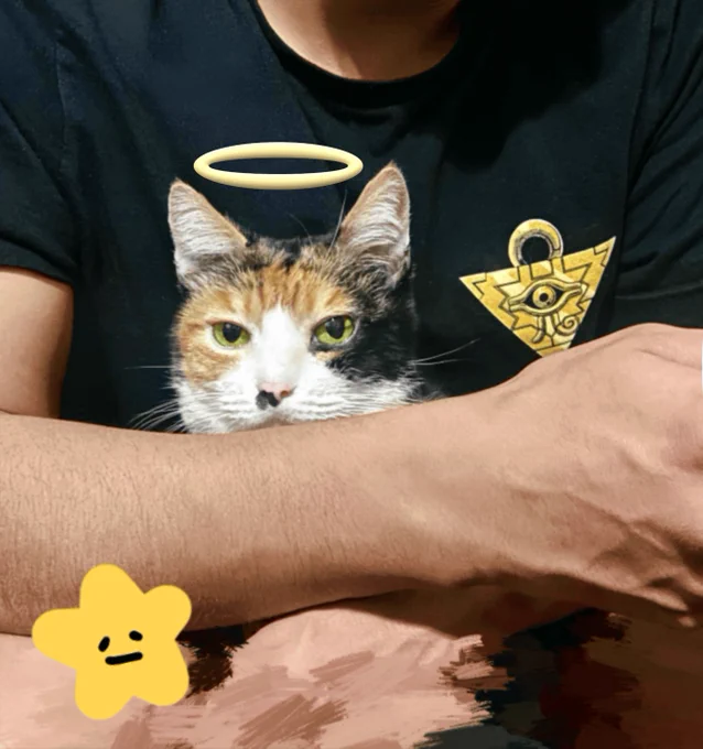 I miss my cat. I miss her clinginess and her screaming at me. Coming home nowadays feels too quiet without her...