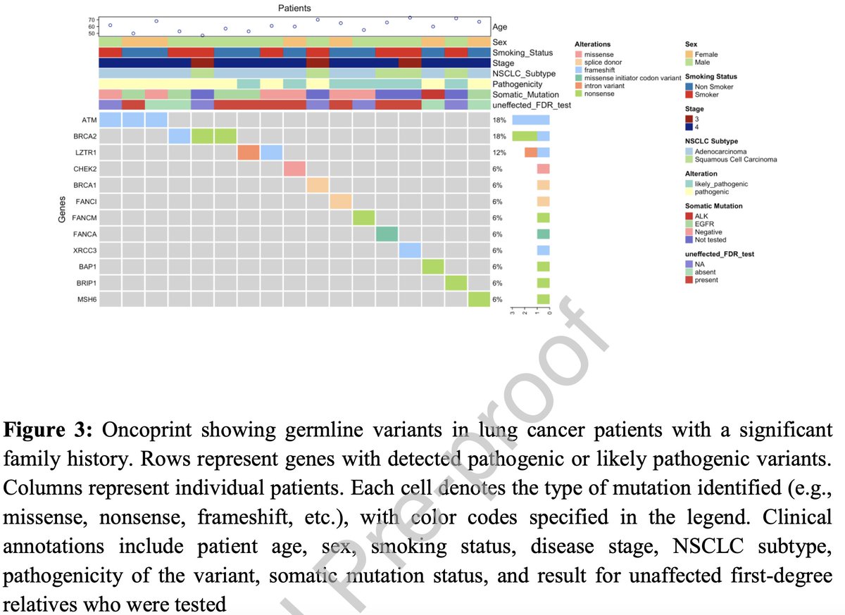EdEsplin's tweet photo. 20β30% of #lungcancer cases occur in never-smokers
16.5% of Indian #patients w/ #NSCLC & family history have pathogenic #germline variants (PGVs)
...most PGVs in DNA damage response genes #ATM, #BRCA2, #CHEK2, etc.
...clinical characteristics of #patients w/ & w/o PGVs showed no statistically significant differences
#Genetictesting in such individuals may be relevant for screening strategies...newer therapeutic avenues specially the use of #PARPi
c/w
https://t.co/n2gtyTscA5 #DrStevenSorscher et al. @JCOPO_ASCO @ASCO
#Universal #germlinetesting in #patients w/ #lungcancer
#access #reducedisparities #precisionmedicine #precisiontherapy #clinicaltrials #precisionprevention
https://t.co/R8CqYds0QO #AayushiAgrawal et al. @ClinicalLung