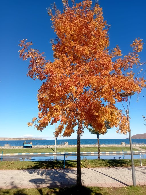 Dönüp duran bir çark,
Akıp giden bir zaman
Yine, yeniden bir sabah -Nazım Hikmet 
#Günaydın #Pazar