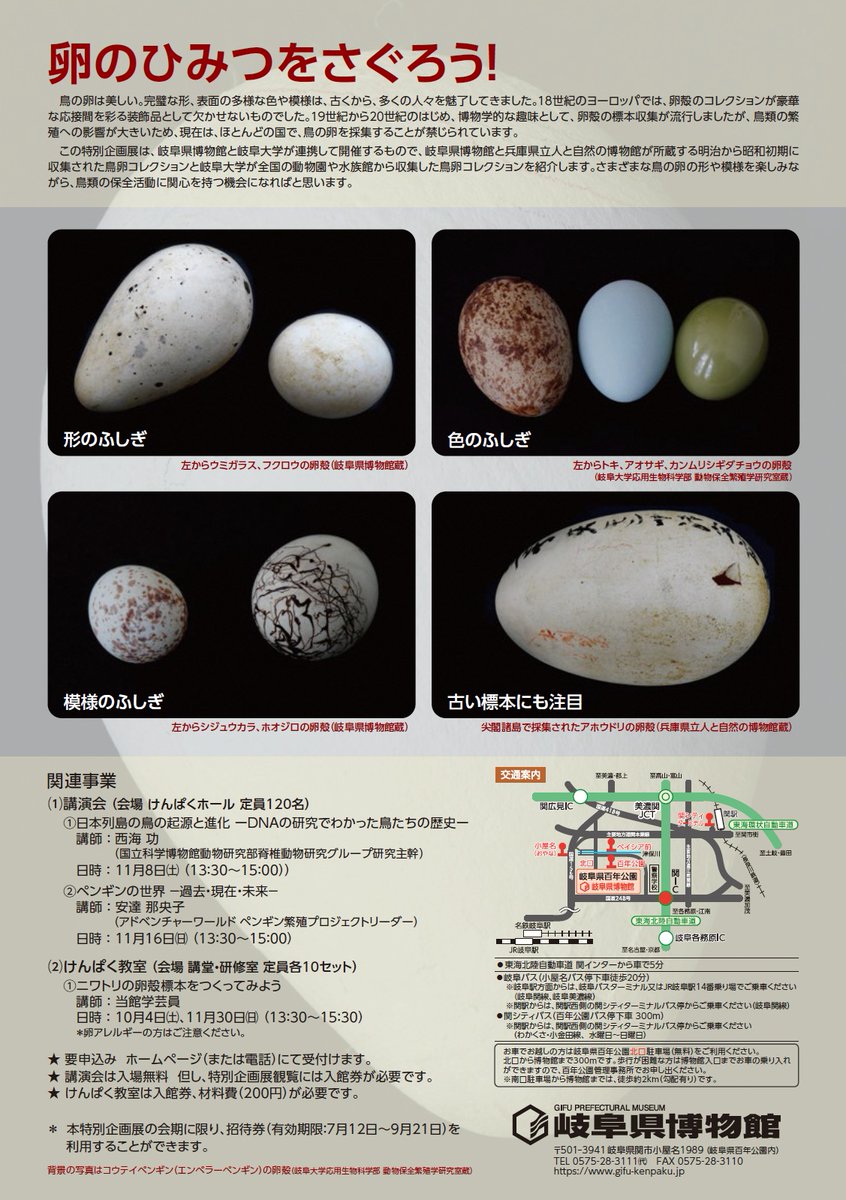 宮嶋仁志 卵屋 G.G.D Gallus Gallus Domesticus 岐阜県博物館【公式】 on X