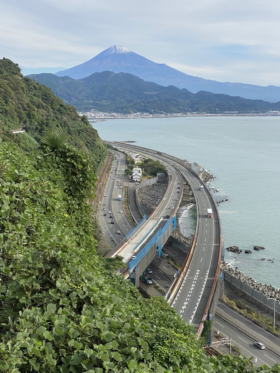 富士山2枚含むAPACランド5枚 富士山2枚含むAPACランド5枚 富士山2枚含むAPACランド5枚 MTG APAC