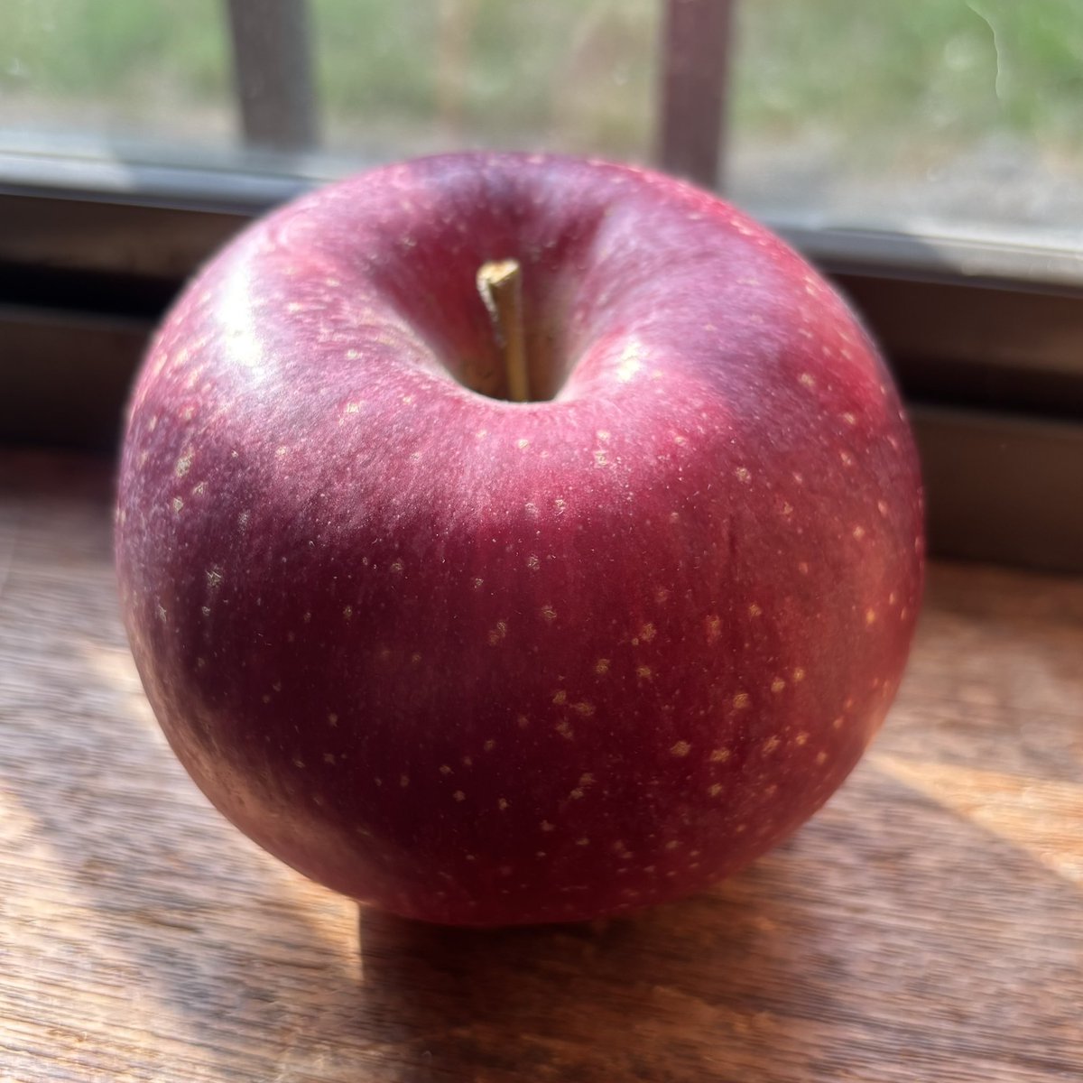 先日、松本に行きました。
かわいい名前のりんごを買いました。
「シナノほっぺ」
私が小さかった頃、家族は岡山では珍しいりんご園をやっていました。低農薬で栽培したりんご。この時期、お客さんがりんご狩りに来ていた事を思い出します。