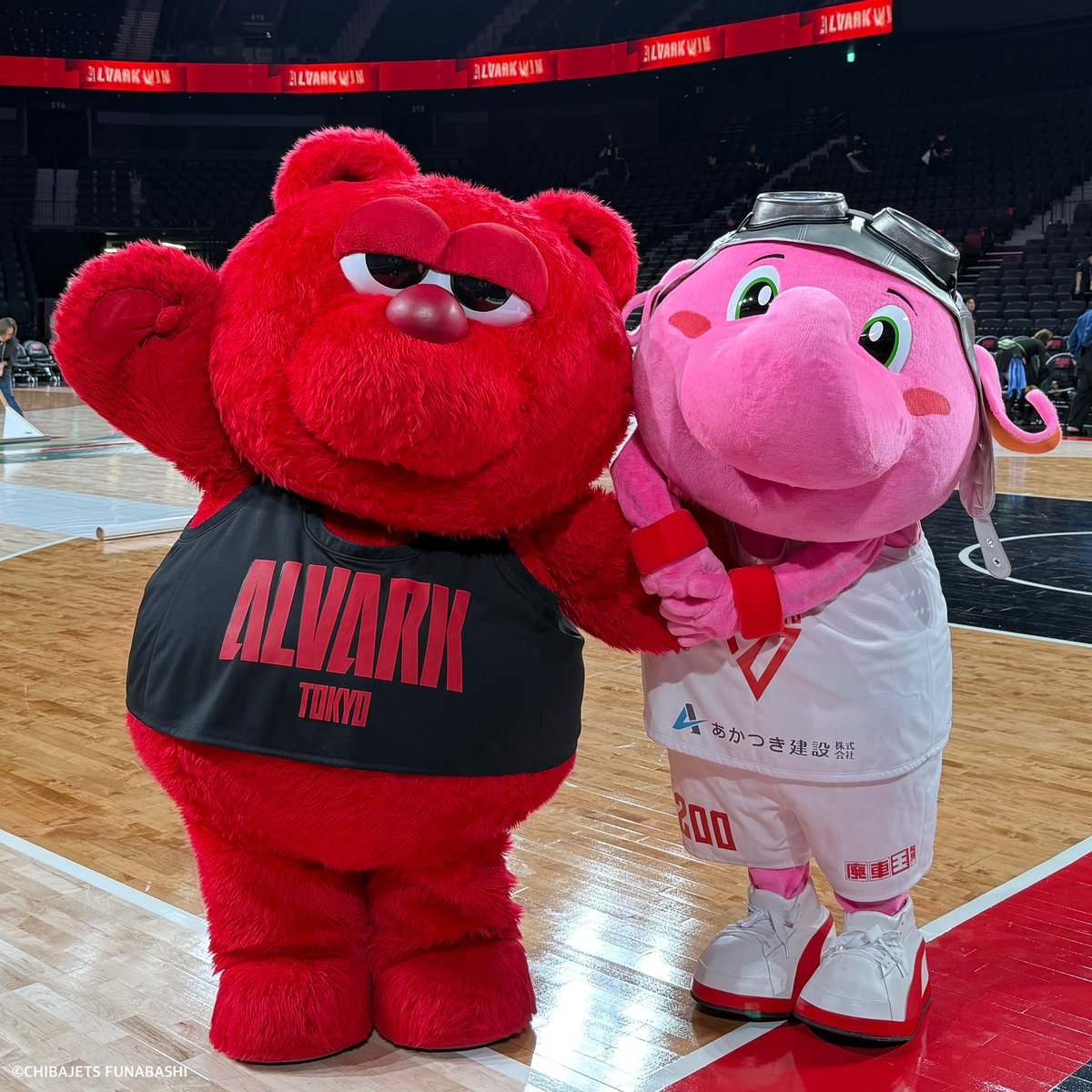 公式】ジャンボくん(千葉ジェッツふなばし) (@Jumbokun_GOJETS