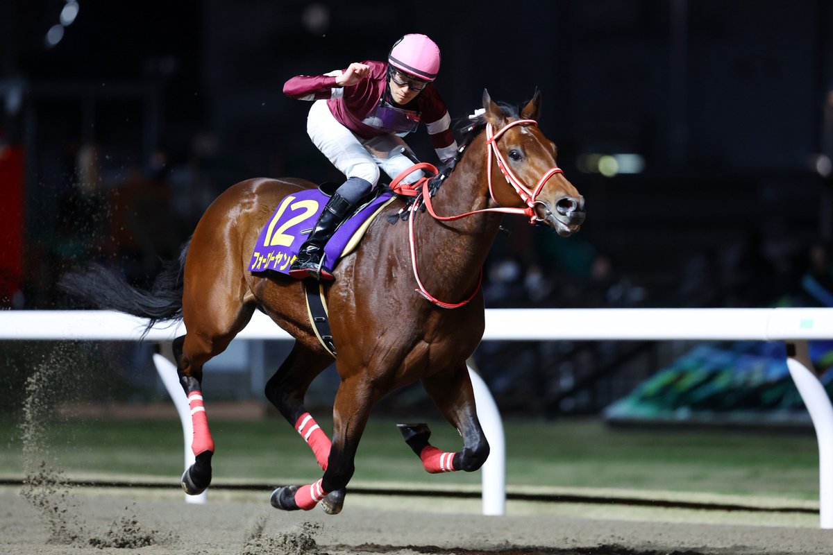 nar_keiba's tweet image. 【フォーエバーヤングDG競走写真アラカルト】
☆2023.12.13 全日本2歳優駿(1枚目)
Road to the Kentucky Derby!
☆2024.10.2 ジャパンダートクラシック(2枚目)
海外から帰国!
☆2024.12.29東京大賞典(3枚目)
古馬も含めた国内頂点へ!
☆2025.10.1 日本テレビ盃(4枚目)
BCへ向けて準備万端!