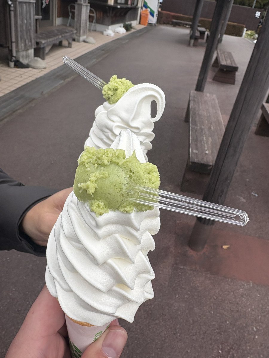 白いくま ハルモニア 白くまぬいぐるみ DITZディッツ フラッフィハグポーラー