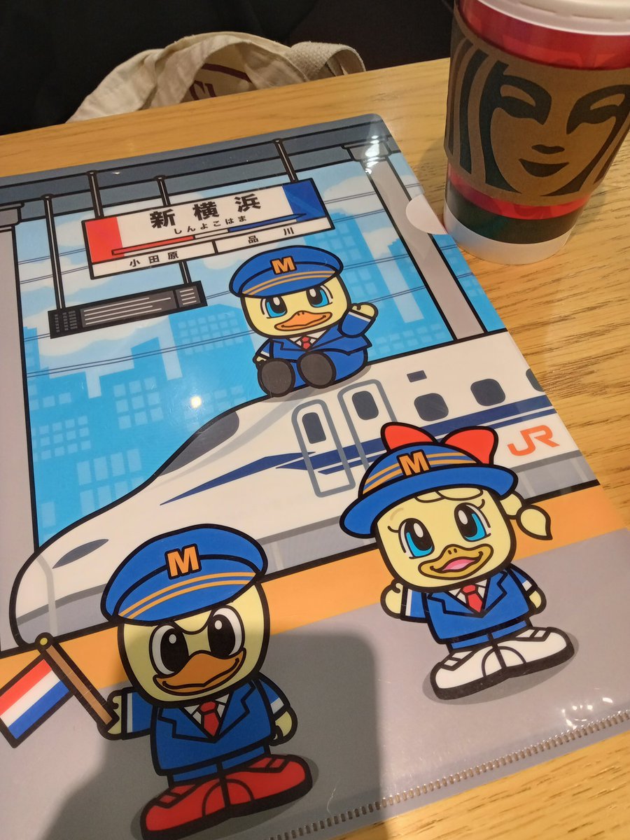 マルバストラム   確認用です（╹◡╹）♡ GKZ植物事典・マルバストラム・ラテリティウム