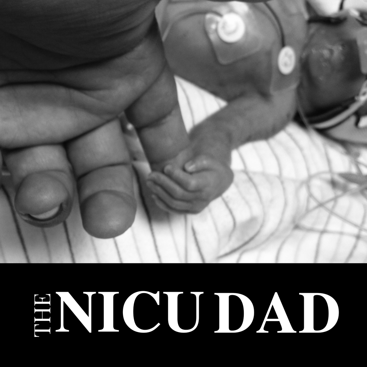 The NICU Dad tweet media