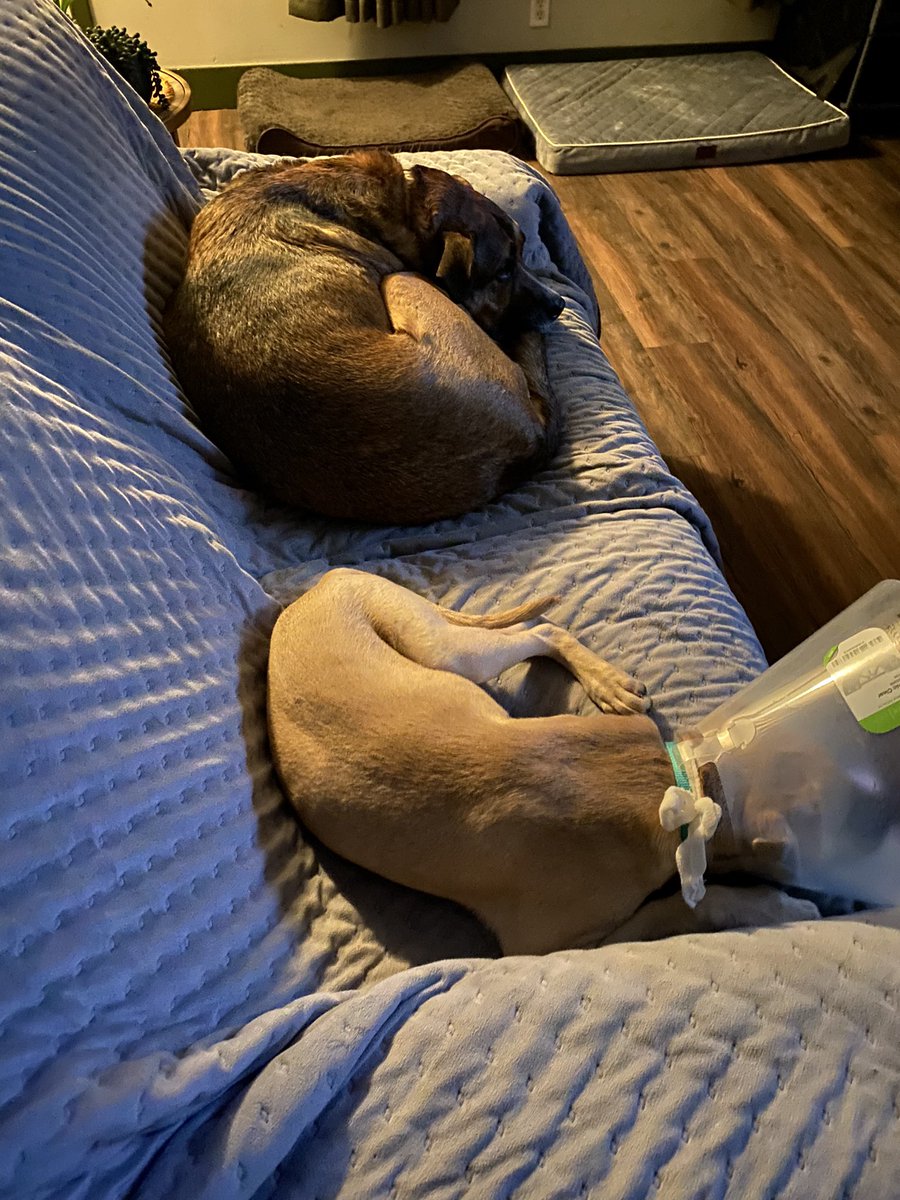 NiceGuyEricFitz tweet media