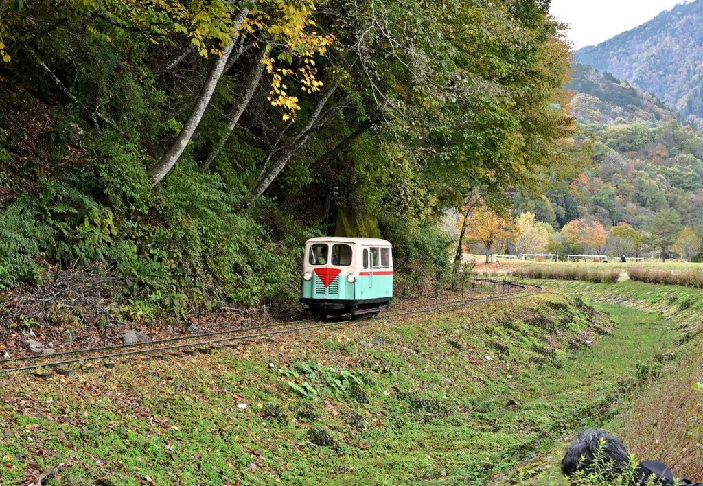 ひろりん (@hiroring0323) / Posts / X