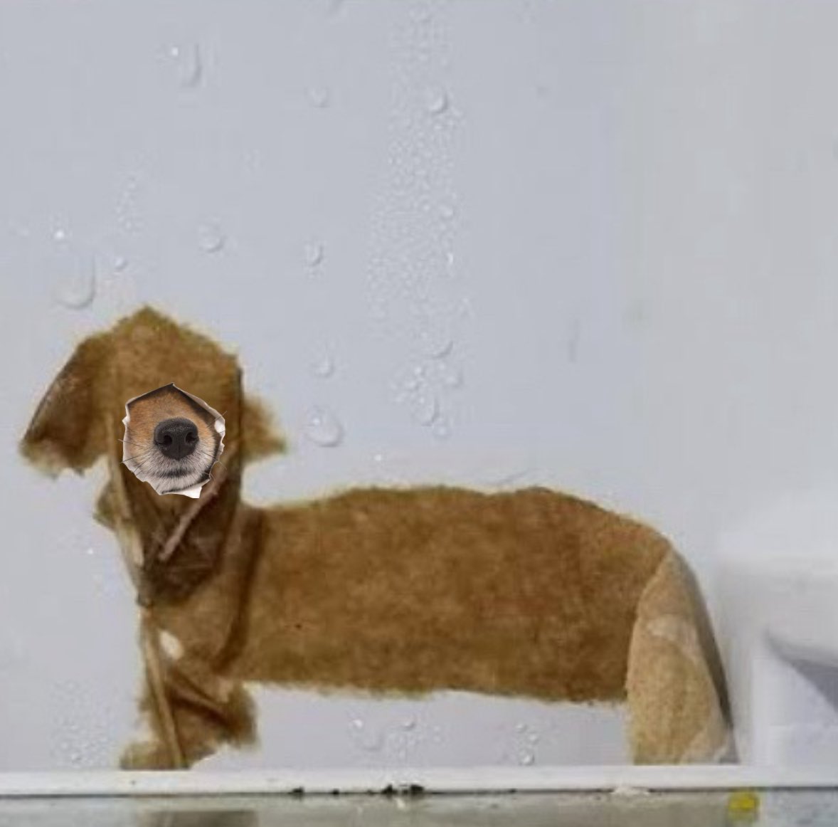 you nose you’ve met your mache