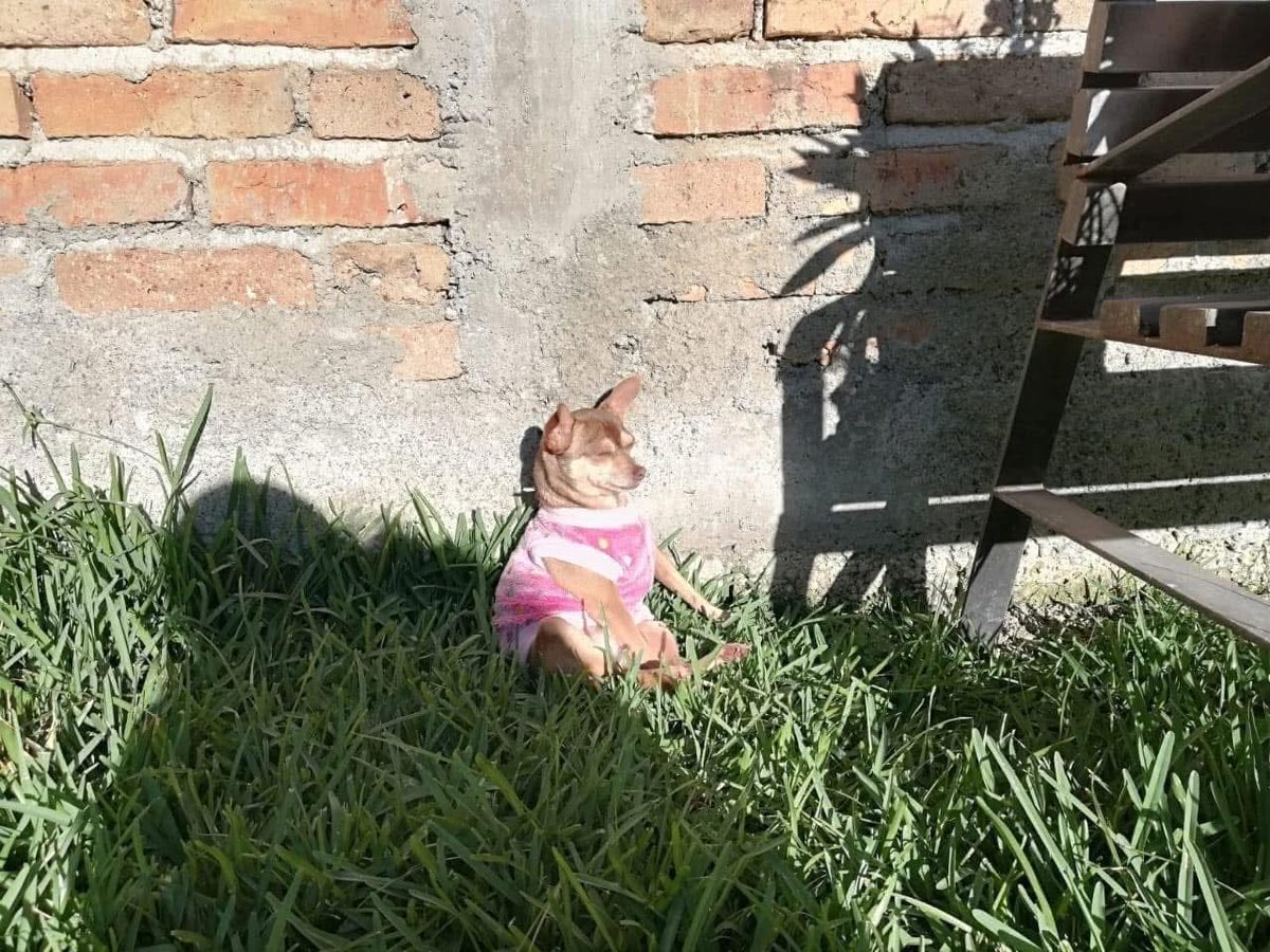 Un día es joven y al otro buscas que te dé el solecito