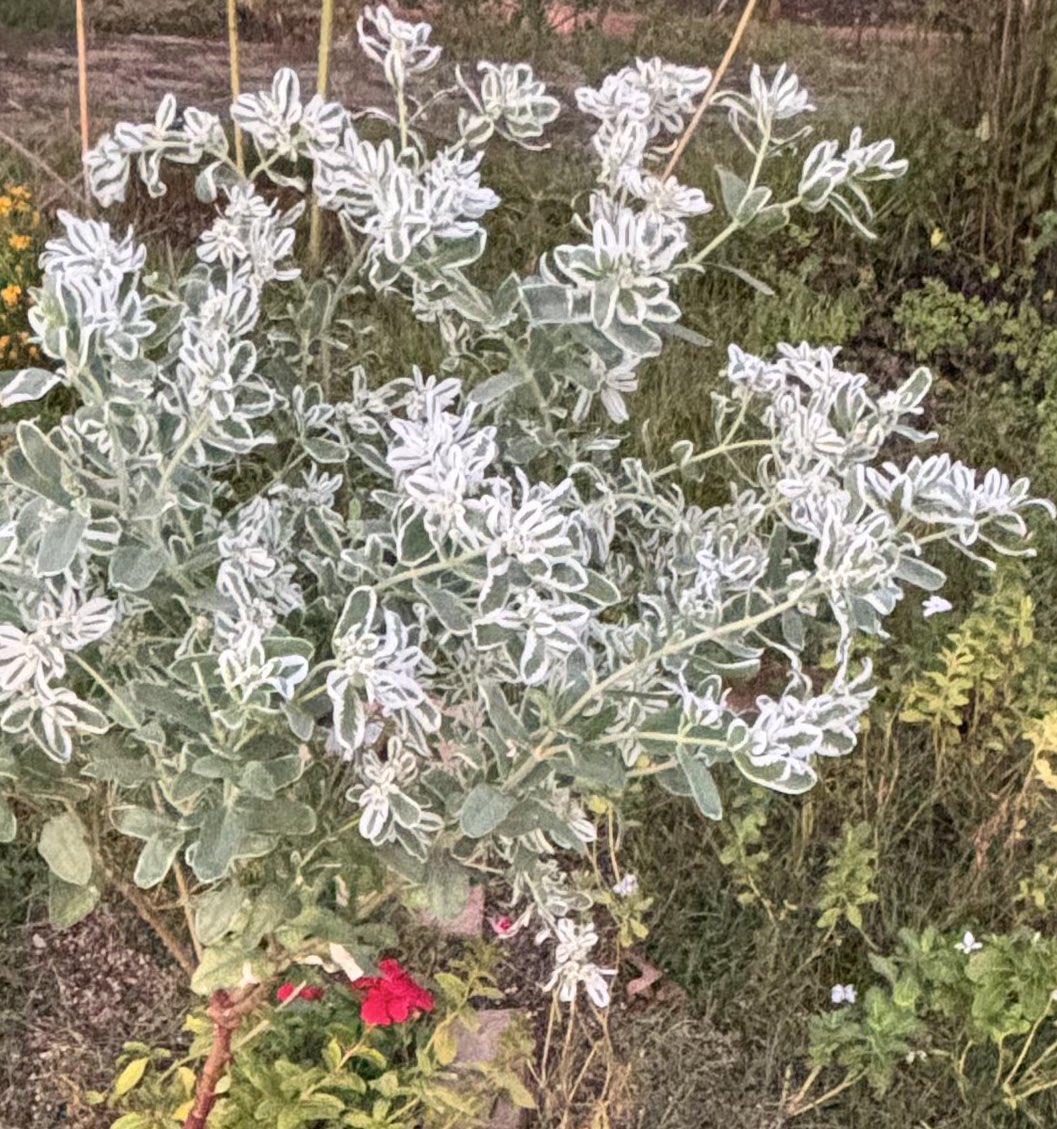 呑み鉄のんべぇ (@55sanma55japan) / Posts / X