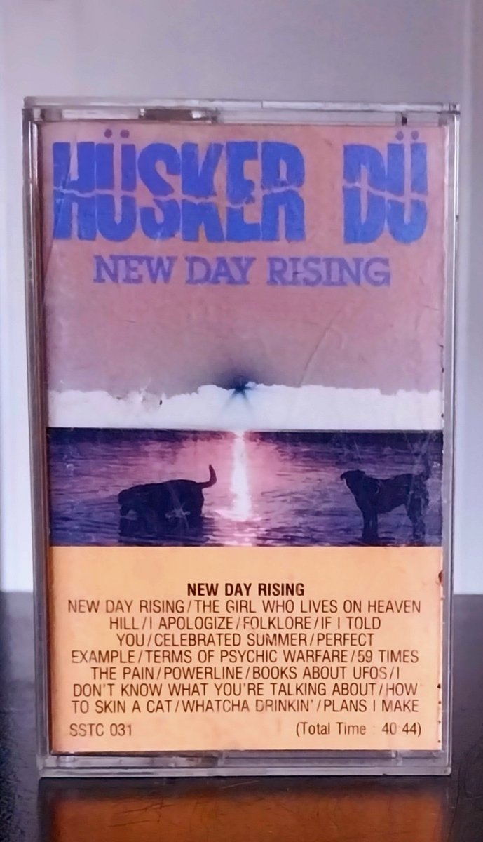 ミュージシャン SPEED DOME TOUR 1999 REAL LIFE DOG TAG ミュージシャン SPEED DOME TOUR 1999 REAL LIFE DOG TAG