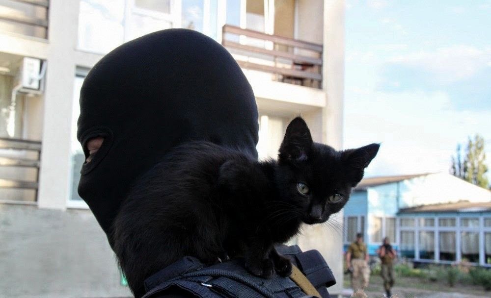 Пока был на задании, нашел себе напарника.