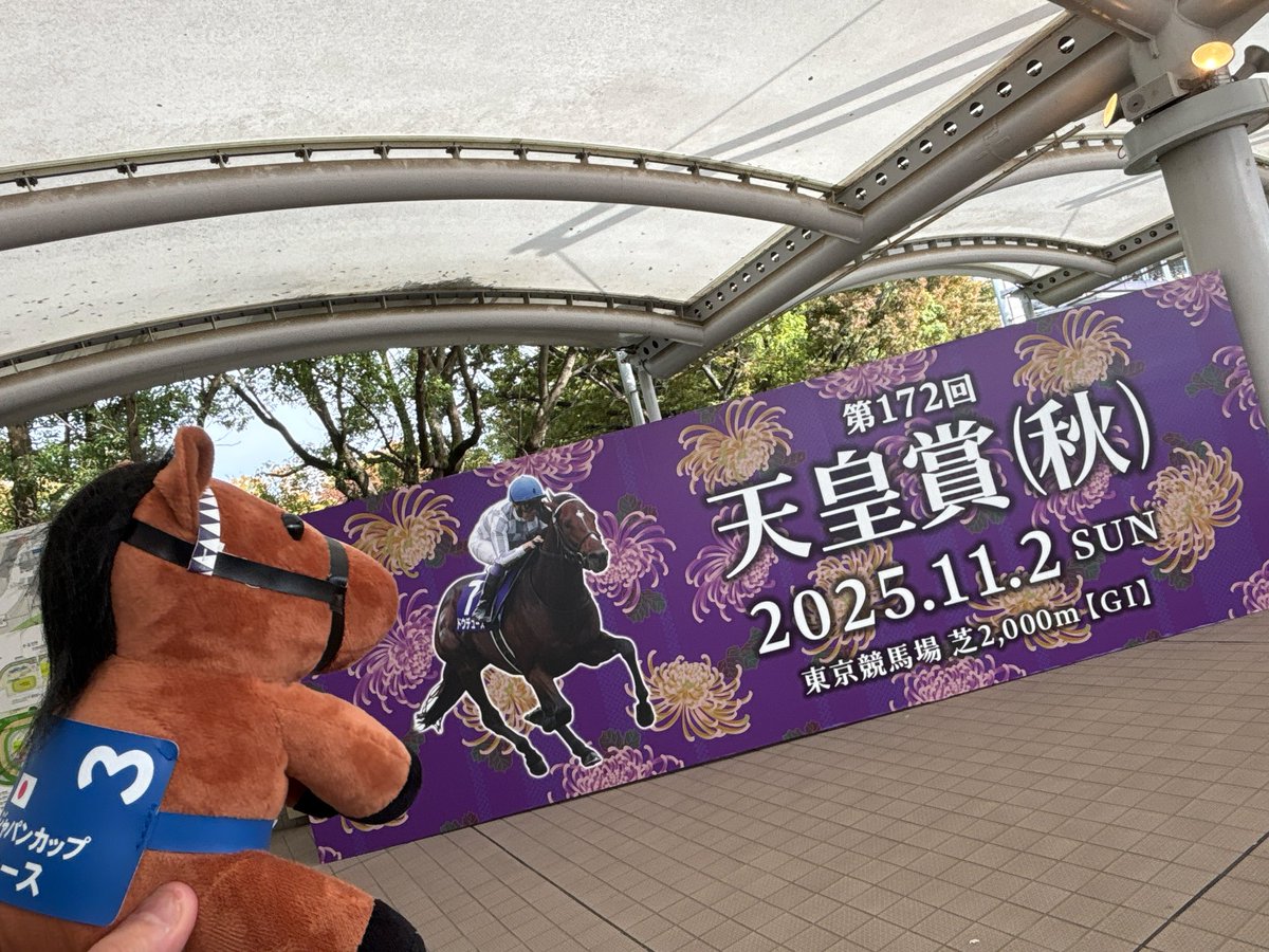 オランダ様♥️専用ページ とࠧࠧか⃔ち⃝̊ on X