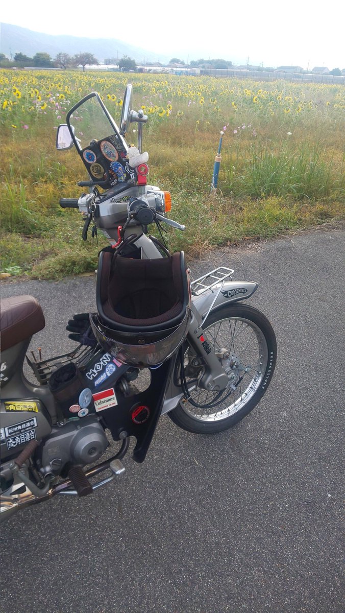 ☆忍 s.sシノブ·ソロ☆lone wolf🐺 on X