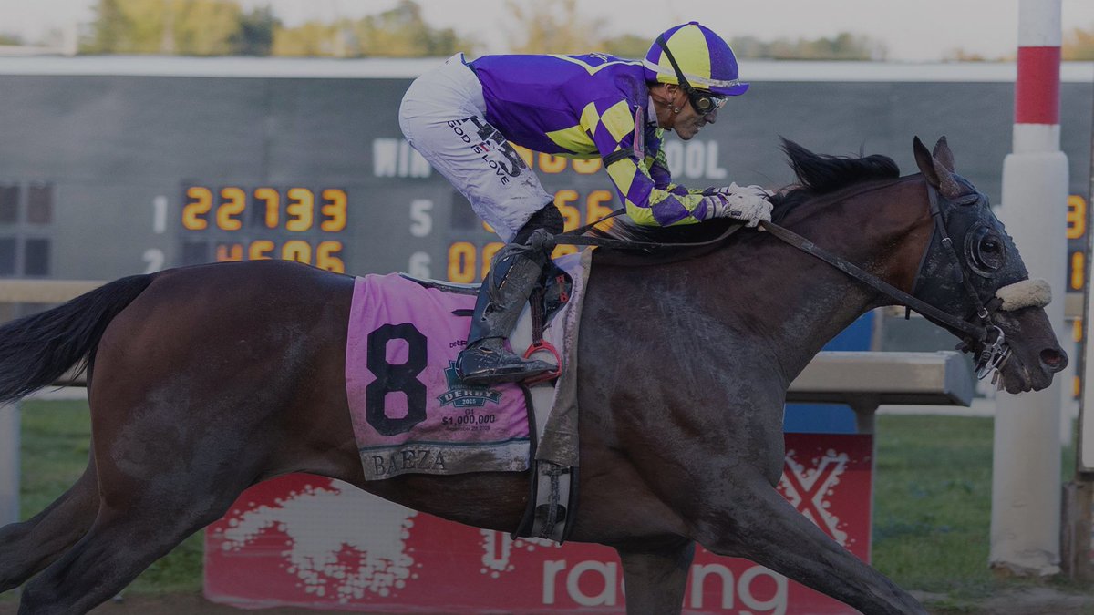 What an Amazing Journey it Has Been for PUCA's Boy, BAEZA, this Year! From the Thrilling Last Minute Entry in the <a href="/KentuckyDerby/">Kentucky Derby</a>, the Exciting Finish with JOURNALISM and SOVEREIGNTY, to the <a href="/BelmontStakes/">Belmont Stakes</a>, PA Derby, and the <a href="/BreedersCup/">Breeders' Cup</a>, I’ve Loved Every Minute! Always in the