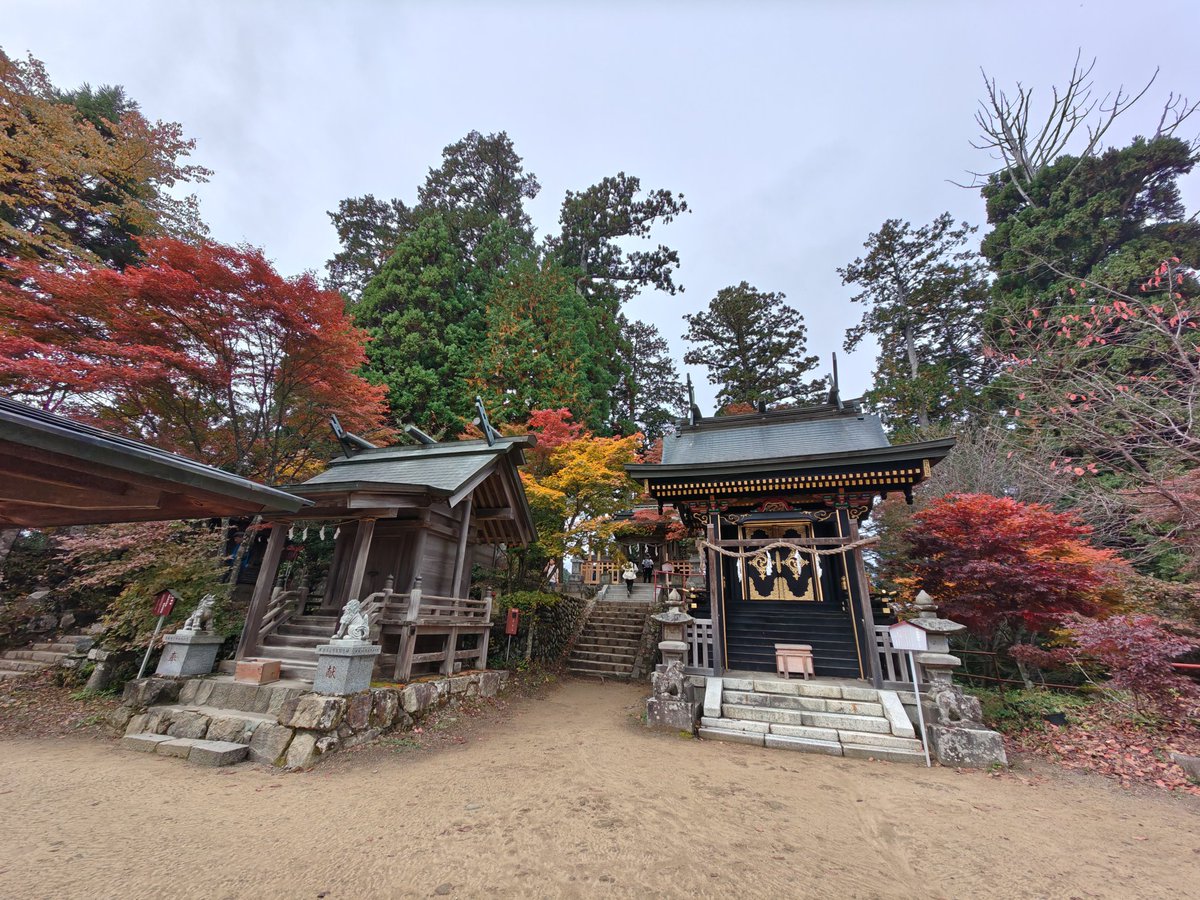 武蔵御嶽神社 tweet media