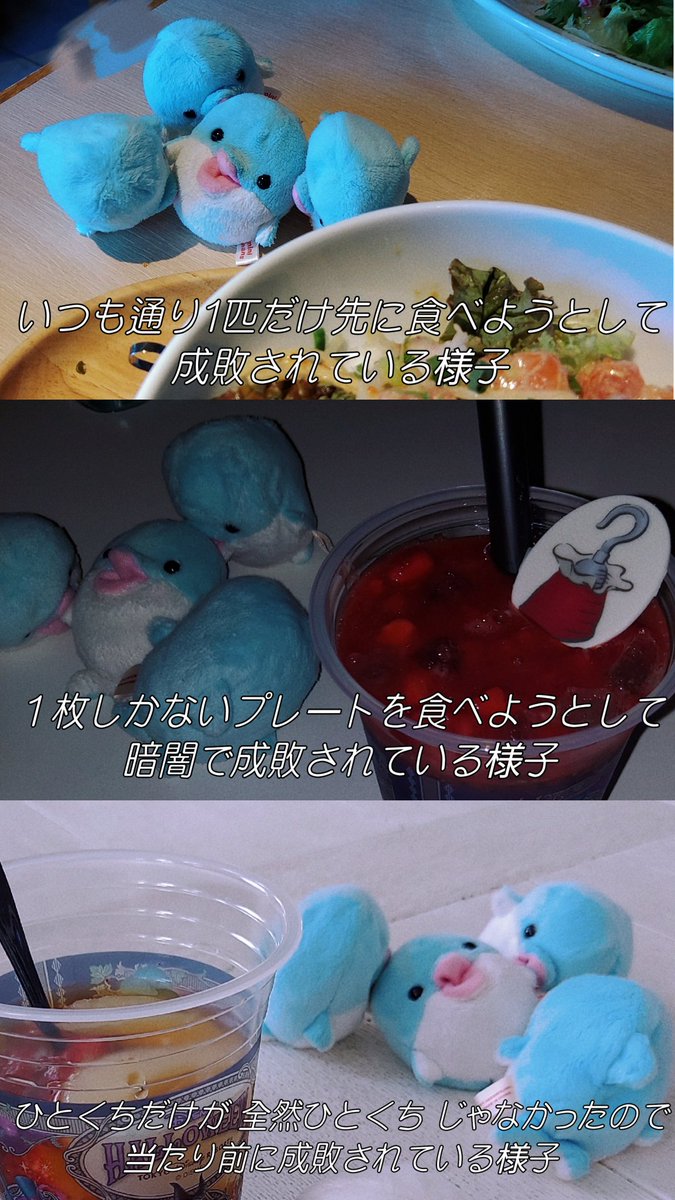 黒狐@4/14プロフ更新ページ 黒狐 (@kurogitsune_tw) / Posts / X