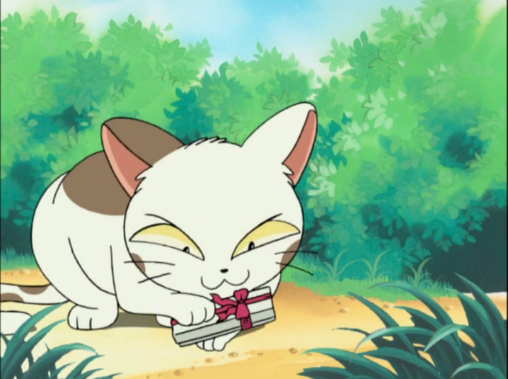 Episode 250, Paradaichu 57: 