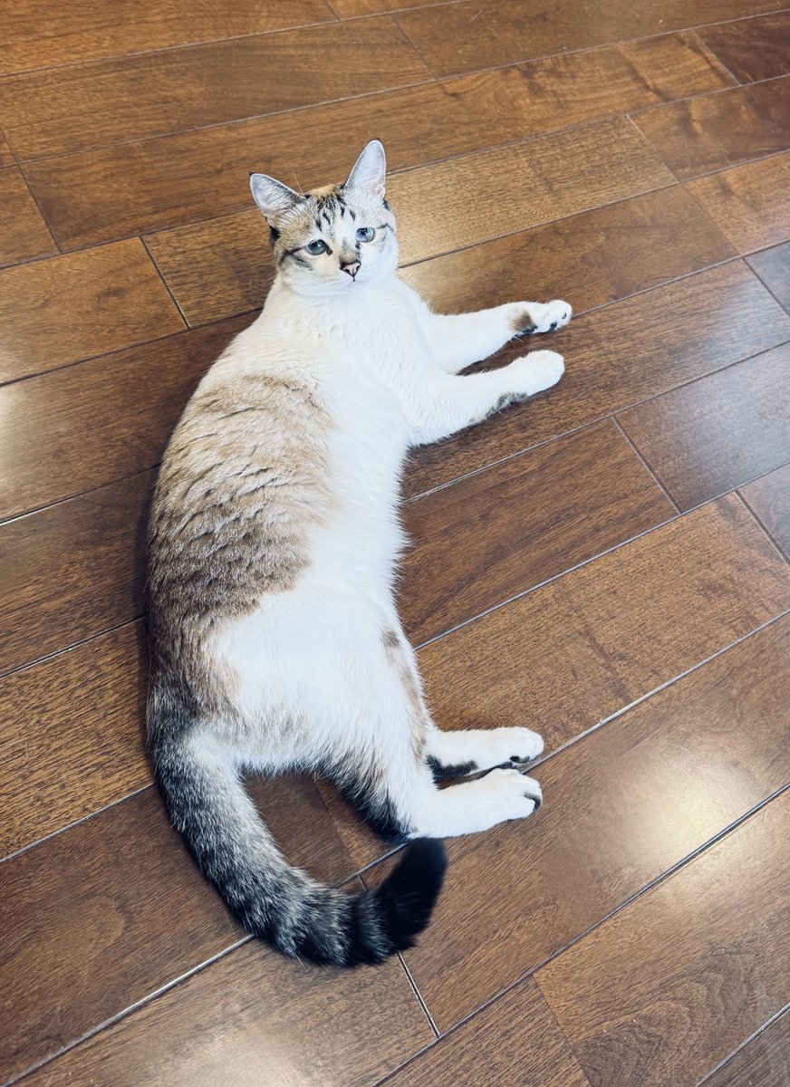 おしり側からお写真とるとスタイル爆盛れスーパーモデル10等身