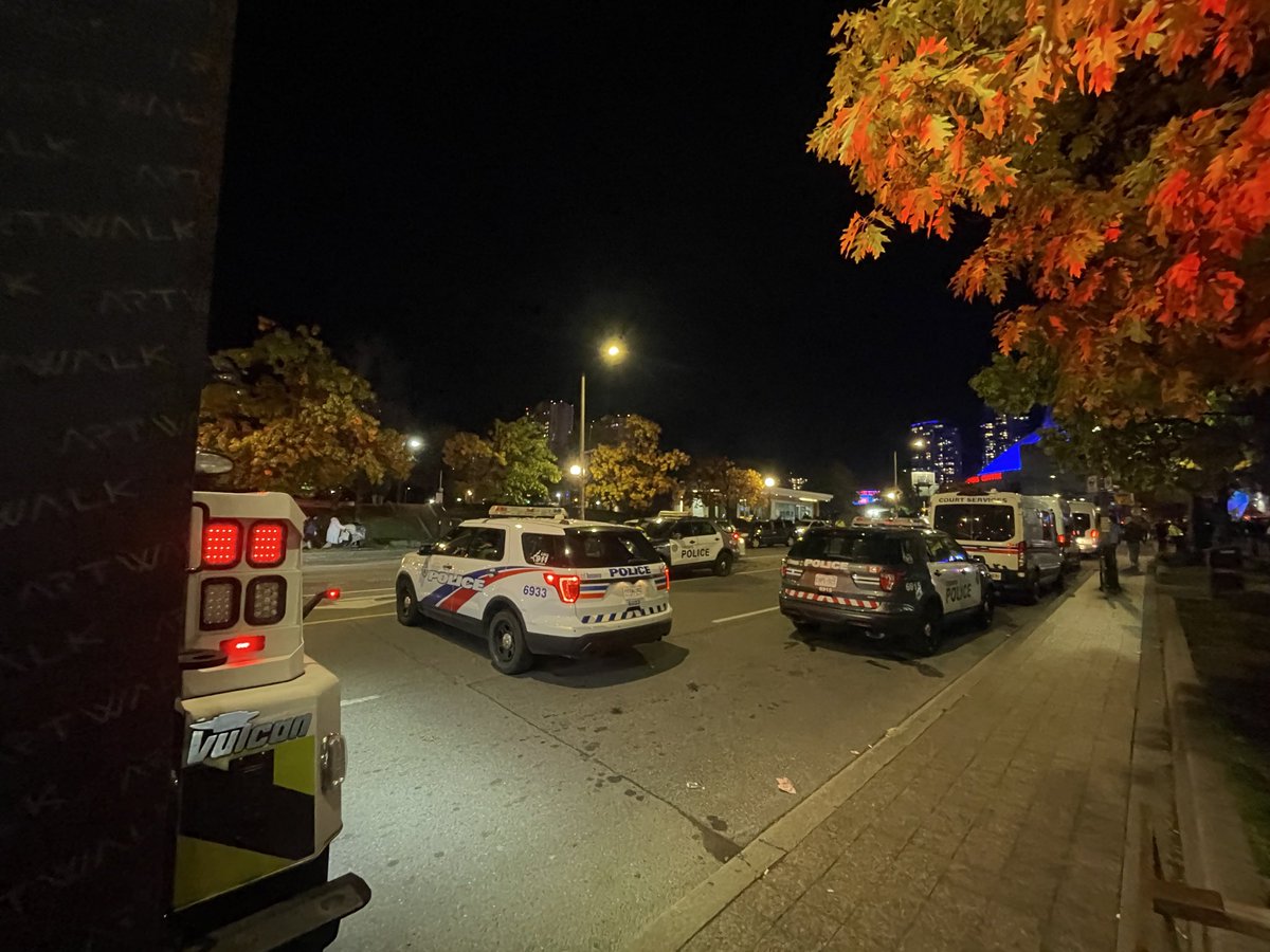 JoyJJos's tweet photo. Whichever way Game 7 of the #WorldSeries goes, the @cityoftoronto came ready! https://t.co/wmsP7PyUiU