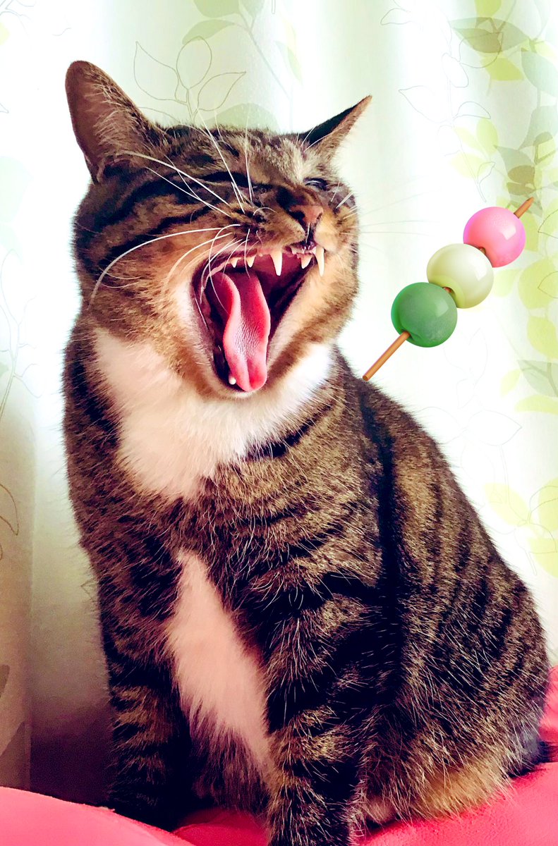 かめきち (@E9Ep7HchhwchZot) / Posts / X