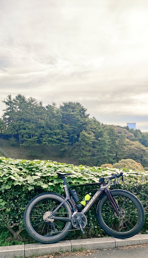 💙💛yuze@柚風🍊iddm💉Type 1 diabetes (@yuzu_yuze) / Posts / X