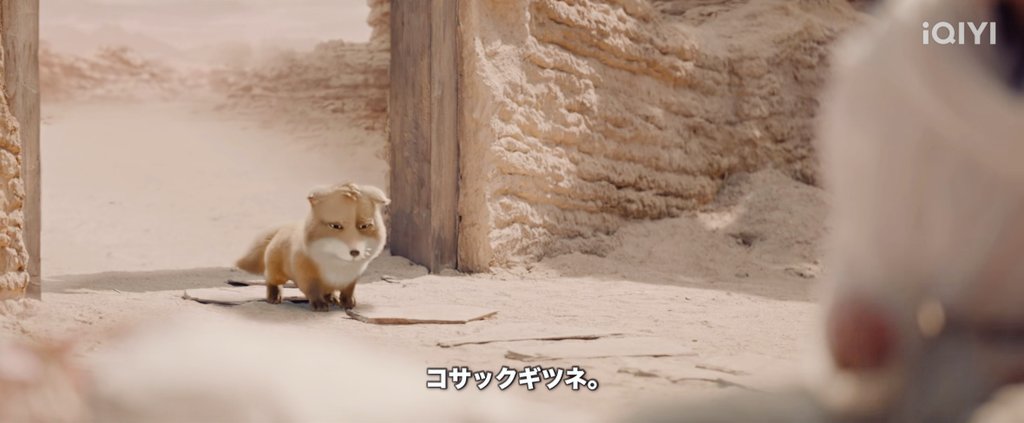 kiyorakawa326🧸 on X