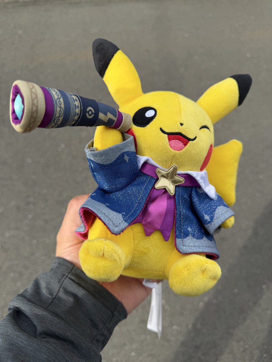 ポケモン天文台 ピカチュウ ぬいぐるみセット ピカチュウ＆イーブイ ペアセット S (ポケットモンスター ALL STAR