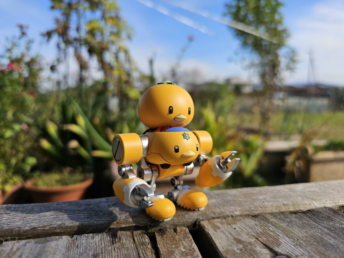 みのあみかっぱ みかんかっぱ【公式】 (@mikankappa) / Posts / X